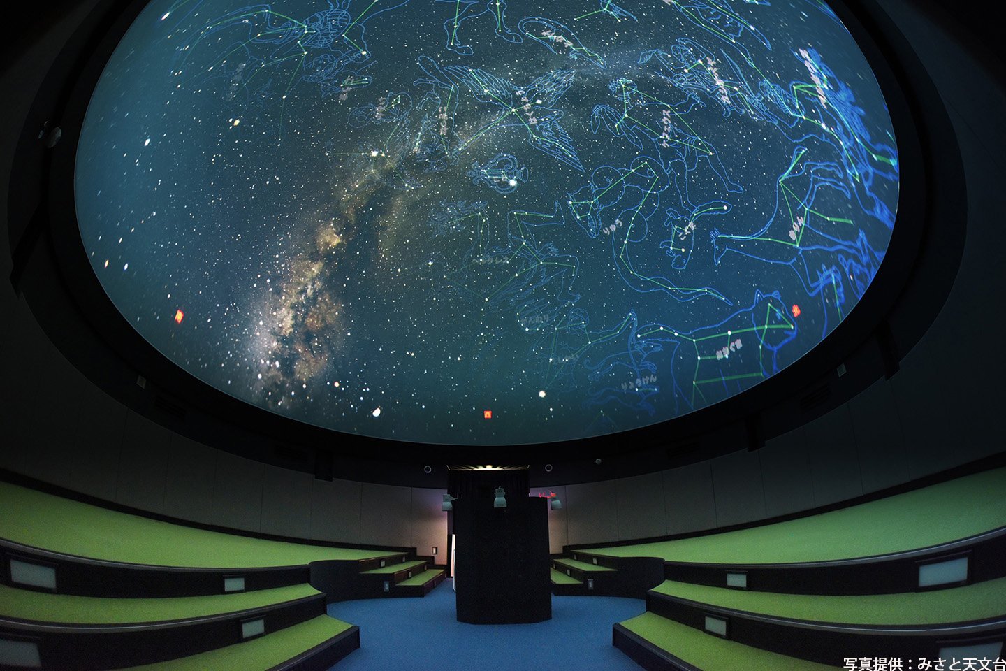 🌸 미사토 매화나무 숲 젠치 행사장 (미사토 바이린 젠치 카이죠) 이미지 4